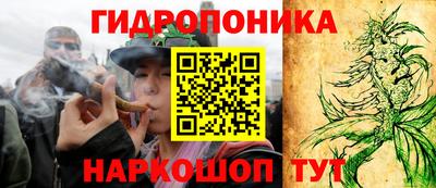 сатива Обь