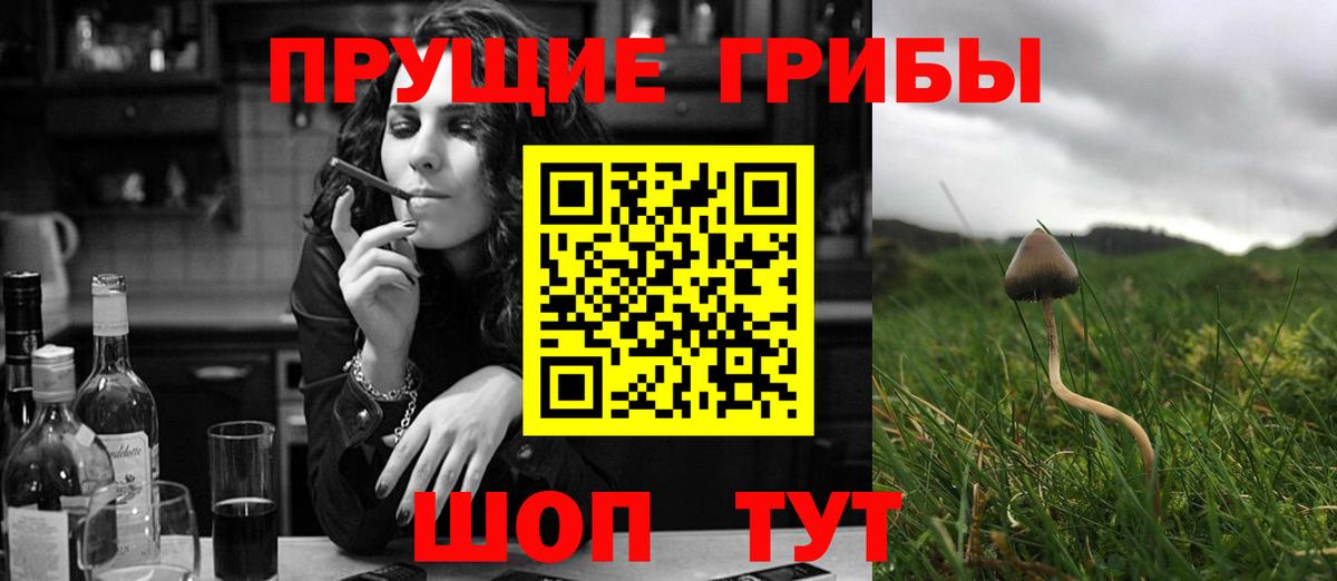 Галлюциногенные грибы Psilocybine cubensis  Псилоцибиновые грибы Psilocybe  Вход с VPN  Верхняя Пышма 