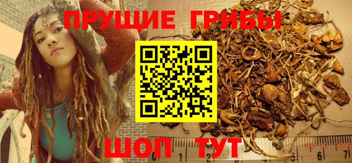 Псилоцибиновые грибы Magic Shrooms Верхняя Пышма